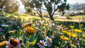 bees perth