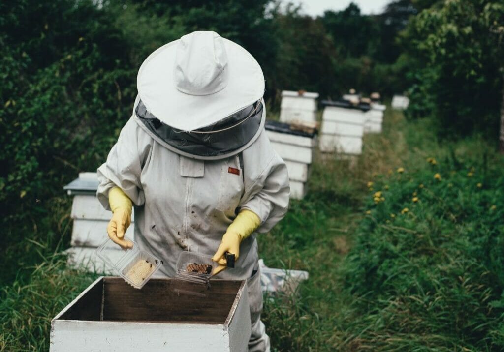 AgriFutures Honey Bee & Pollination Program