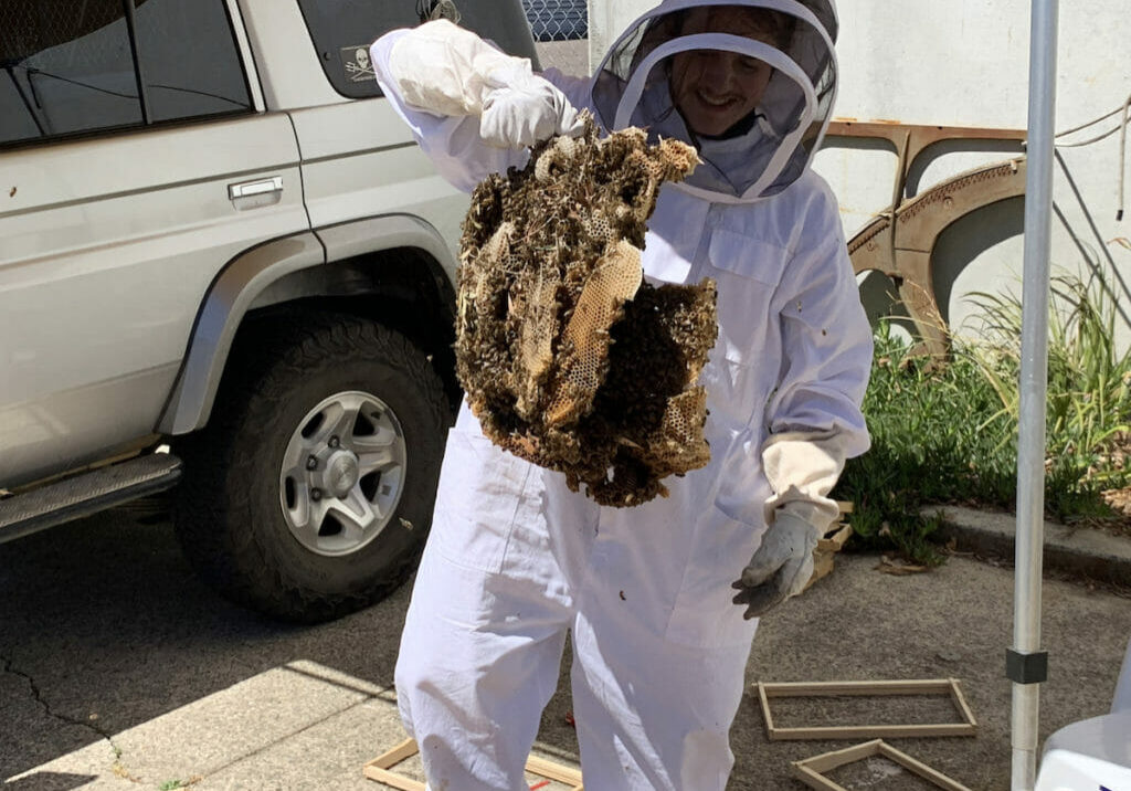 An Apiarist in Training- Learning How to Re-home a Beehive