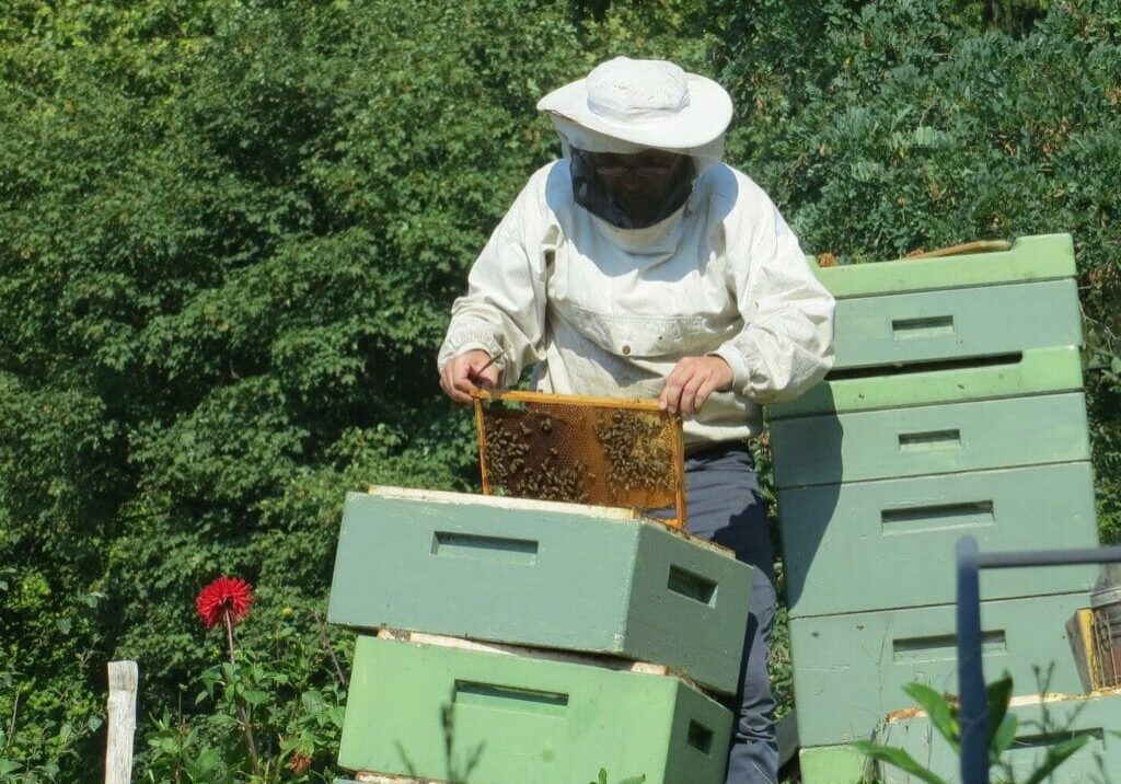 Image for blog post on Legal Requirements for Beekeeping Bee2Bee Beekeeping Supplies Australia 2019
