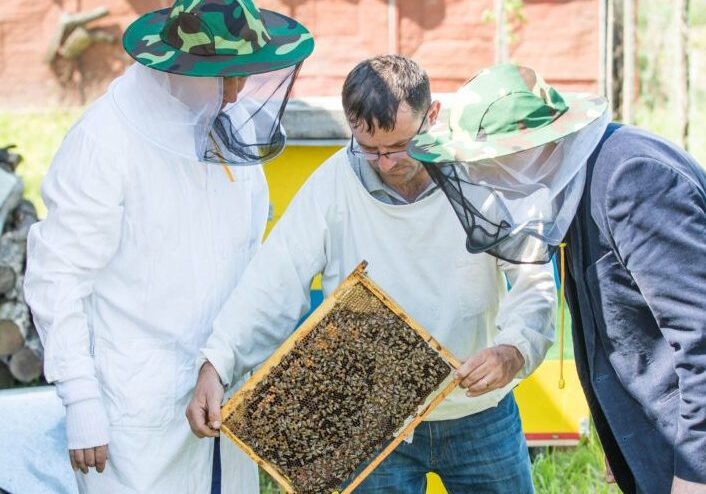 beginner beekeeping training support
